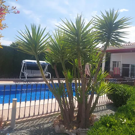Con Piscina En Lliria